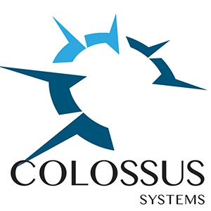 Web Development - Colossus Systems